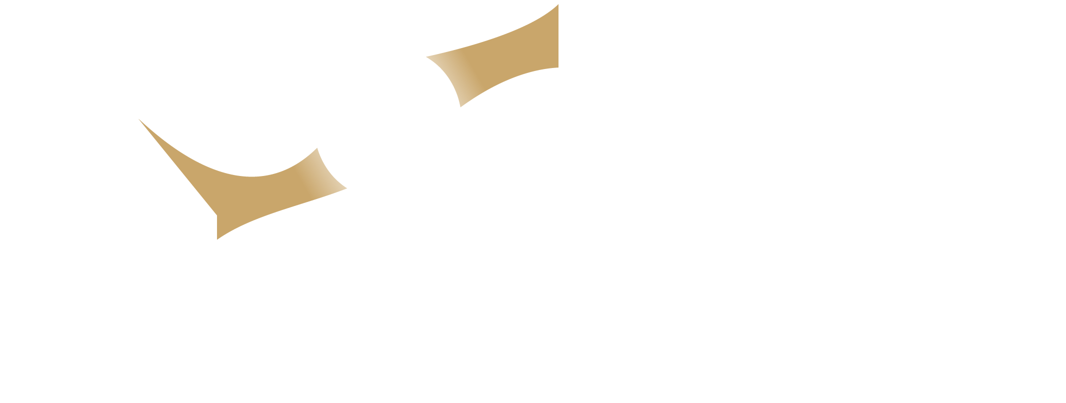 Nona Commerce Wordmark